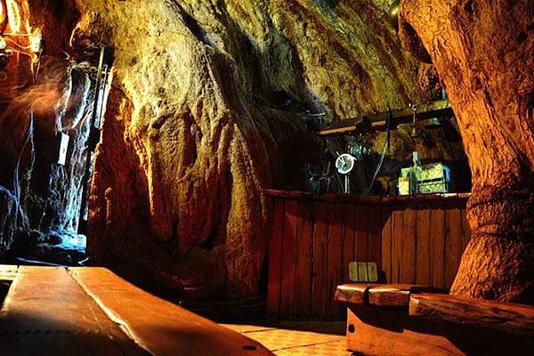 6000-year-old-hollowed-tree-bar-inside-29986.jpg