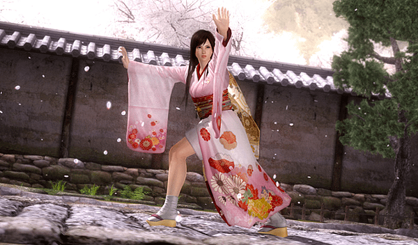 640px-DOA5_Kokoro_3