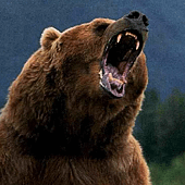 bear-attack-Alaska