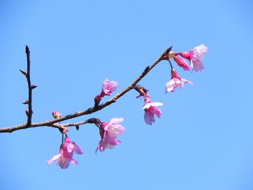 馬那邦山甩油之旅