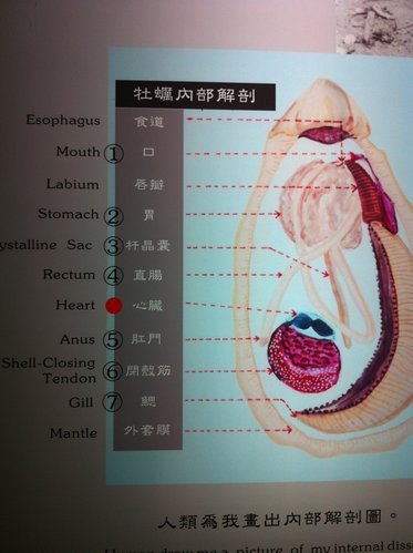 安平蚵灰窯文化館