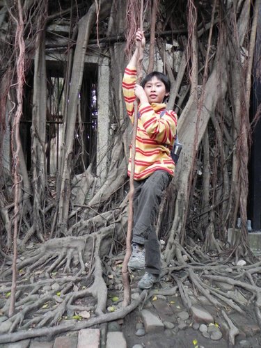 安平樹屋探險