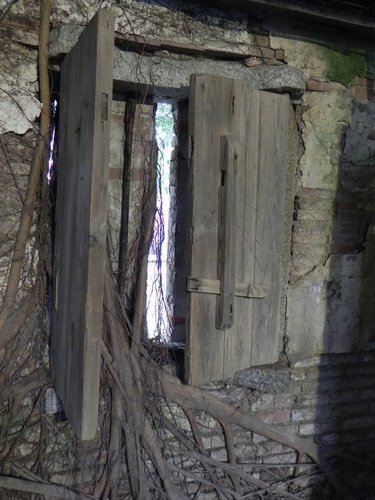 安平樹屋探險