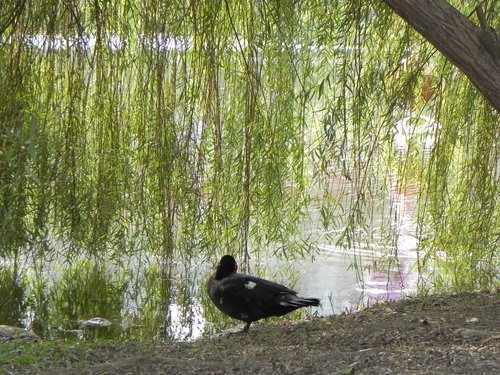 漫步中山公園捷運站