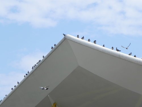 漫步中山公園捷運站