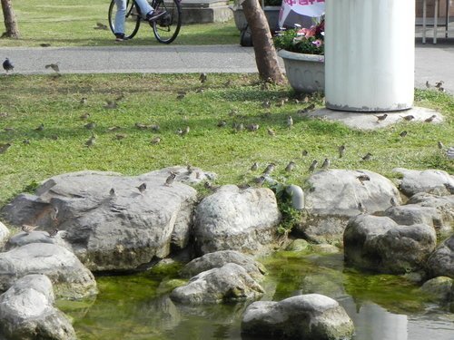 漫步中山公園捷運站