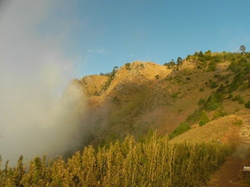 百岳之4初登雪山東峰