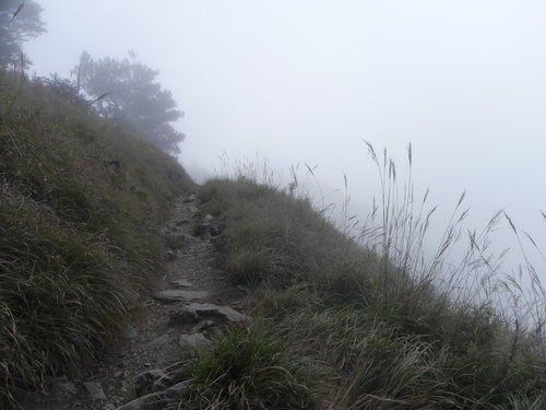 百岳之4初登雪山東峰