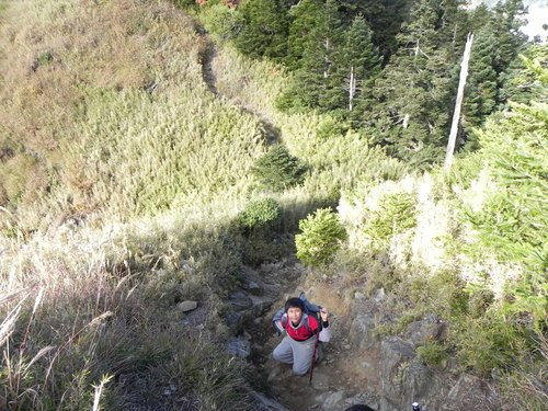 百岳之4初登雪山東峰