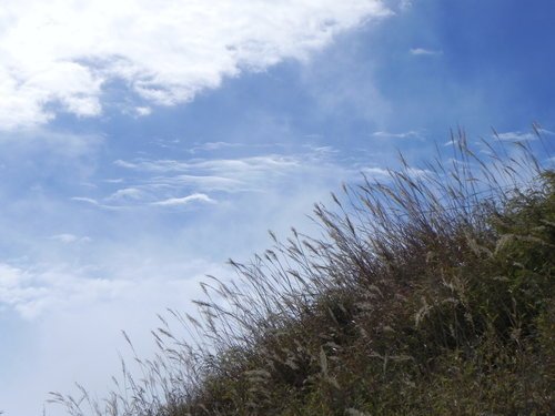 百岳之4初登雪山東峰