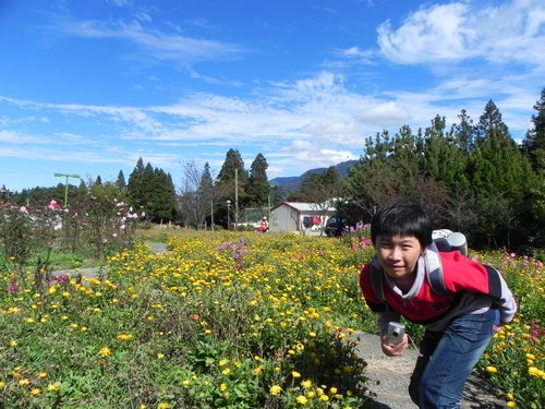 福壽山露營悠閒遊