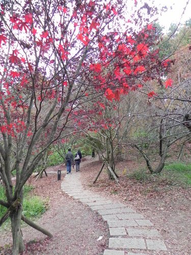 福壽山露營悠閒遊