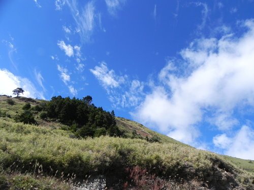 福壽山露營悠閒遊