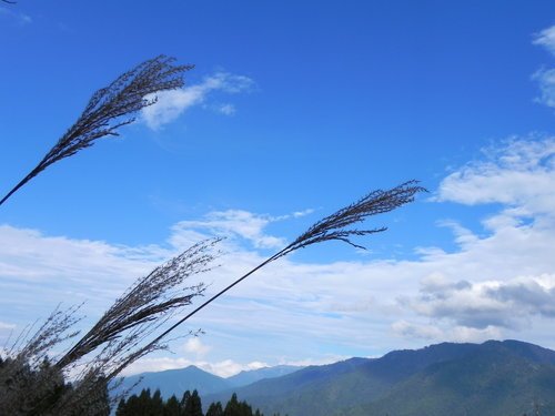 福壽山露營悠閒遊