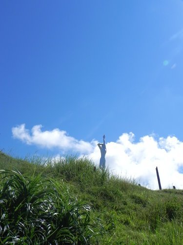 【花蓮壽豐鄉】漂流木的故事•牛山呼庭