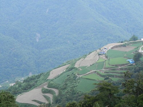 福壽山露營隨意逛逛