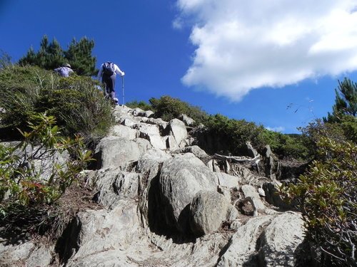 【南投仁愛鄉】百岳之3初登合歡北峰