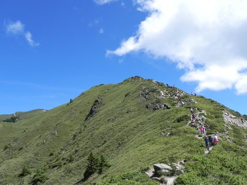 【南投仁愛鄉】百岳之3初登合歡北峰