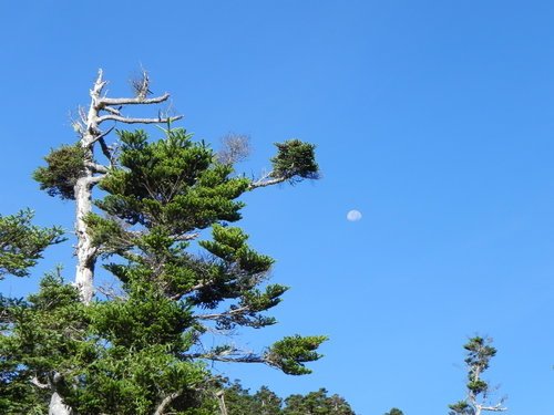 小風口野營遇見幸福(第1次)