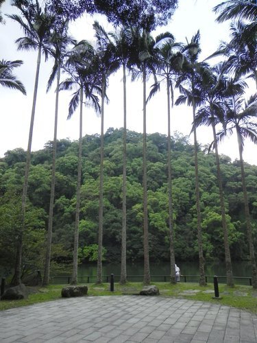 秘境後慈湖之湖光山色