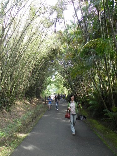 慈湖賓館步道行