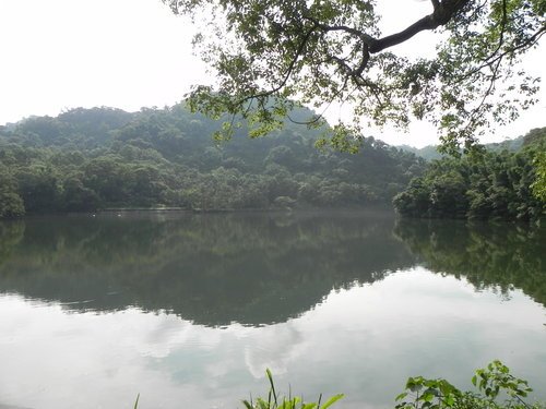 慈湖賓館步道行