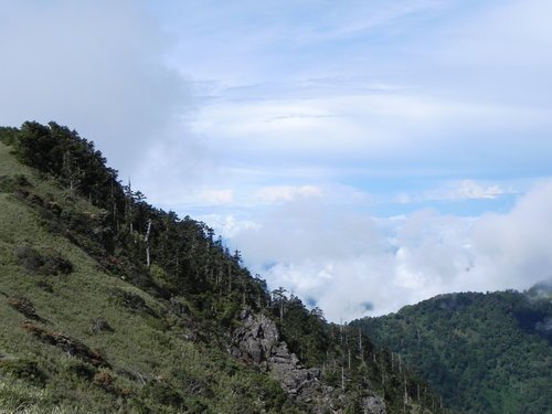 【南投仁愛鄉】第2座百岳初登合歡山主峰