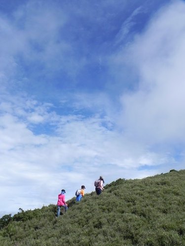 【南投仁愛鄉】第2座百岳初登合歡山主峰