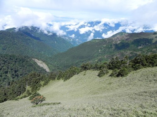 【南投仁愛鄉】第2座百岳初登合歡山主峰