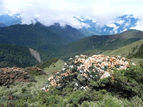 【南投仁愛鄉】第2座百岳初登合歡山主峰