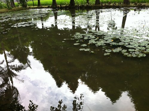 蓮荷園(草編博物館)