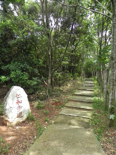 【新竹湖口鄉】金獅寺步道賞油桐花