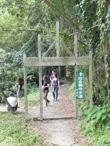 【新竹湖口鄉】金獅寺步道賞油桐花