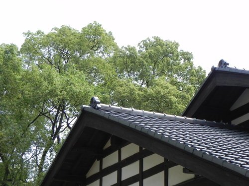 日式建築的一滴水紀念館