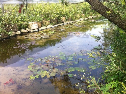 麥客田園農場遊