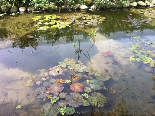 麥客田園農場遊