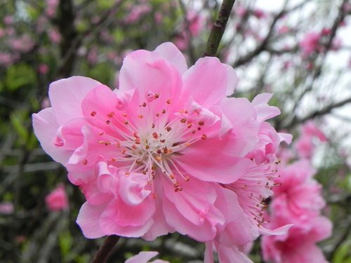 麥客田園農場遊