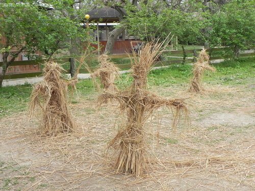 麥客田園農場遊