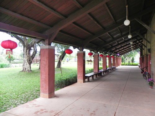 八德埤塘生態公園雨中餵鴨趣