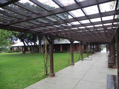 八德埤塘生態公園雨中餵鴨趣