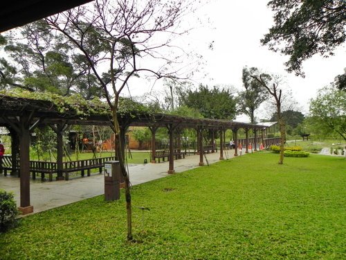 八德埤塘生態公園雨中餵鴨趣