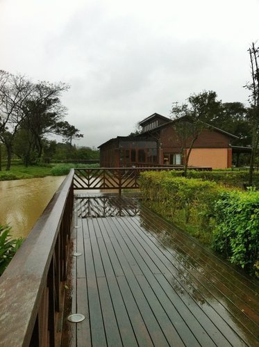 八德埤塘生態公園雨中餵鴨趣