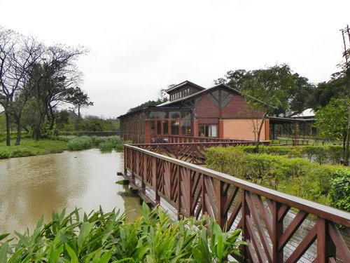 八德埤塘生態公園雨中餵鴨趣