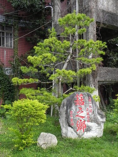 【南投埔里鎮】豐年靈芝菇類生態農場採菇樂