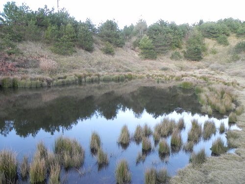 【台中和平】霜降藍茵湖