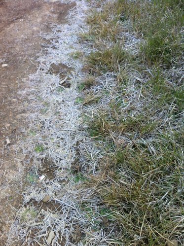 【台中和平】霜降藍茵湖