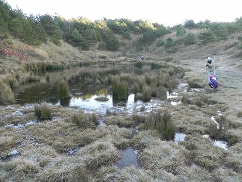 【台中和平】霜降藍茵湖