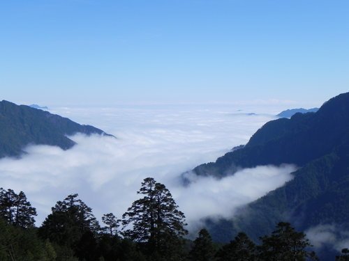 【南投仁愛】合歡山武嶺驚現小冰柱