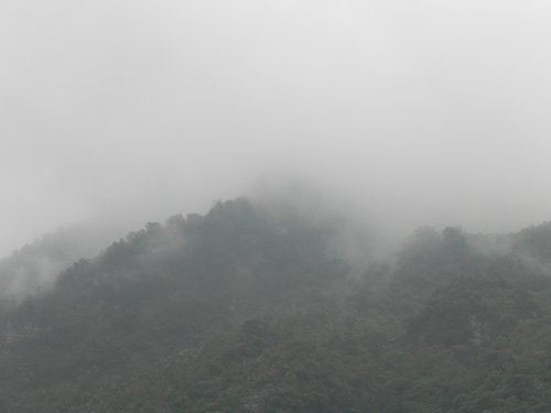 【花蓮鳳林鄉】飄渺幽靜的林田山林業文化園區