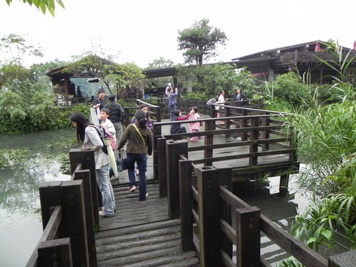 【花蓮光復鄉】馬太鞍濕地